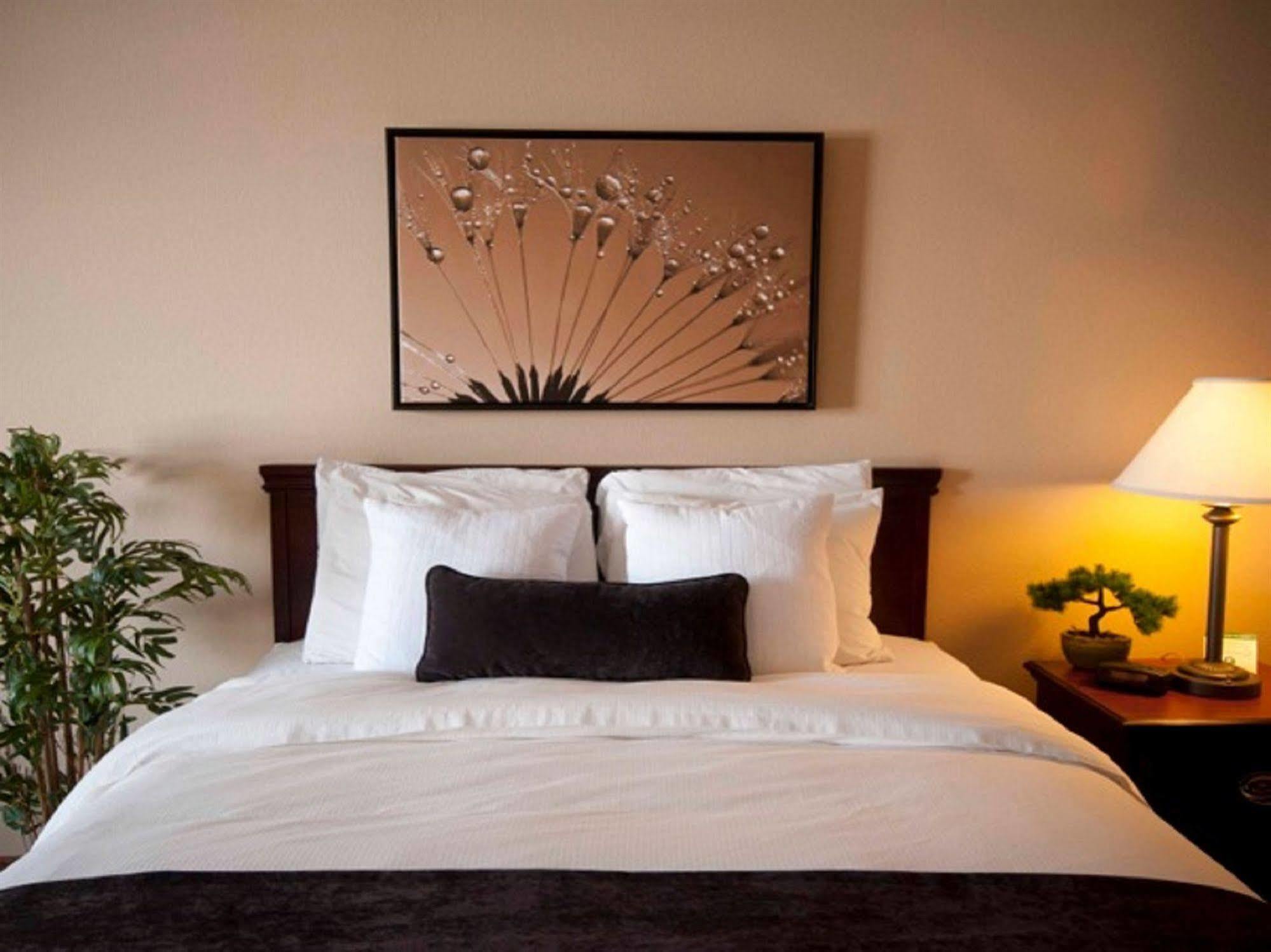 Town & Country Inn And Suites Куинси Экстерьер фото